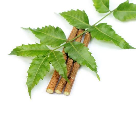 neem